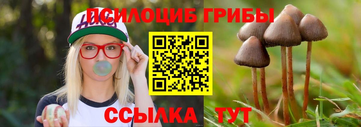 Псилоцибиновые грибы ЛСД Чебоксары